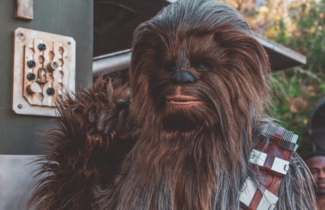 chewbacca